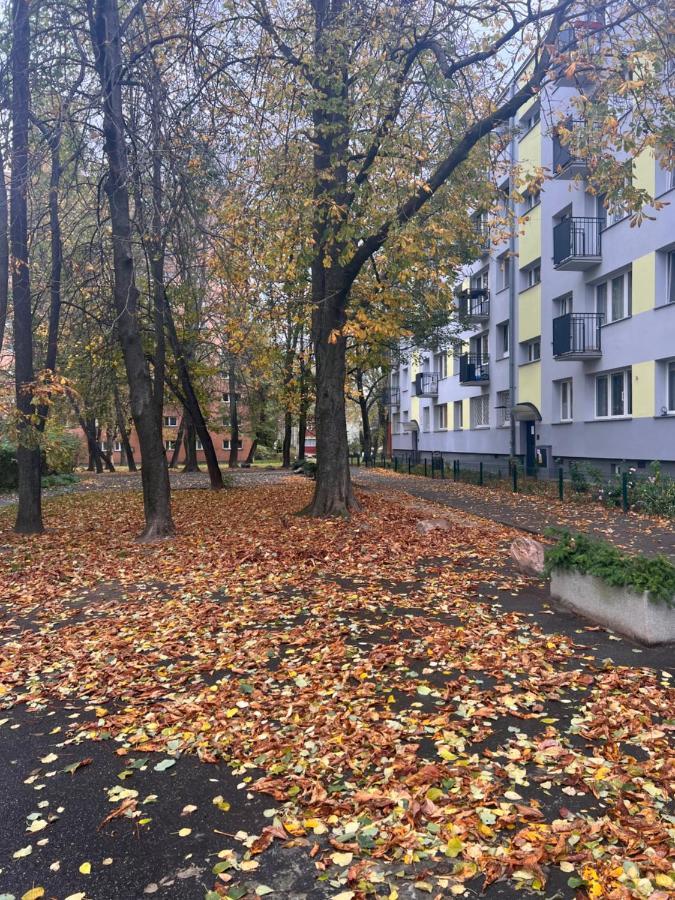 Yellow Apartment Airport Galeria Mokotow Netflix Warszawa Exteriör bild